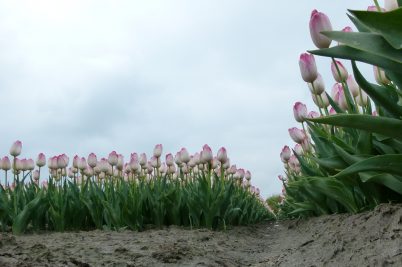 067 kaart 09 04-05-2017