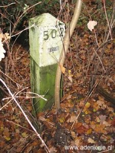 502-omg-dorper-heide-in-tuin-van-mensen1