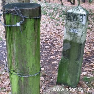 503-omg-dorper-heide-en-walbeck1