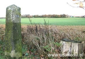 511-omg-tuindorp-bij-kassen1