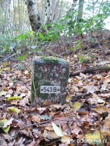 543b-bos-omg-vrij