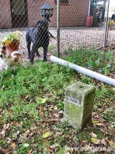 541a-omg-hoeve-terporten