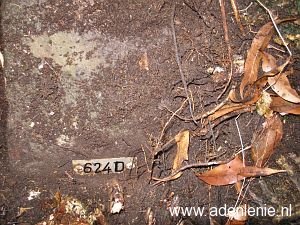624d-hauptstrasse-wyler