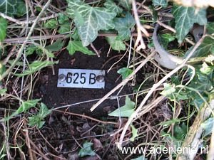 625b-hauptstrasse-wyler