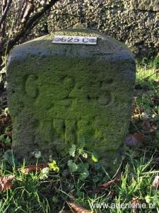 625c-hauptstrasse-wyler