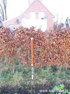 625g-hauptstrasse-wyler