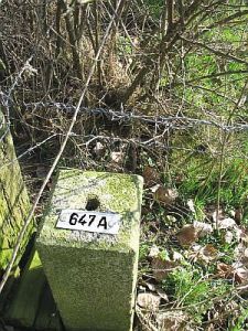 647a-d-zijde-boerderij-friesdonk1