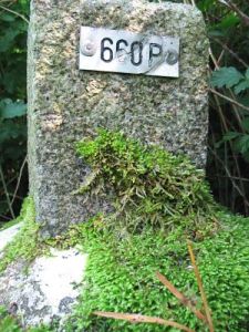 660p-spijckerweg