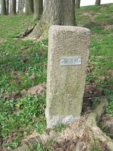 668m-meeuwenpolder-omg-babberich