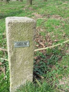 668n-meeuwenpolder-omg-babberich