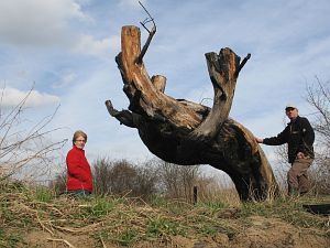 674a-taubenweide-babberich-ad-en-lenie