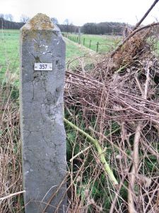 357-posterholt-hingene1