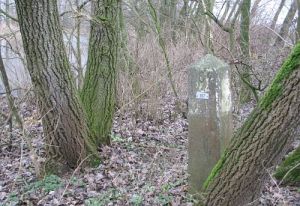 367-zijarm-de-roer-vlodrop-21