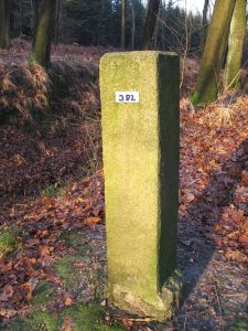 382-omgeving-dalheim1