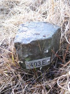 403e-in-erg-nat-gedeelte-langs-beekje-bosbeek