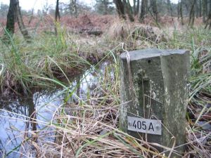 405a-boschbeek-park-de-meinweg