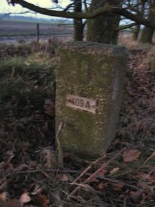 409a-asenray-omg-detail