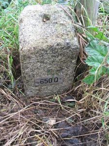 650q1