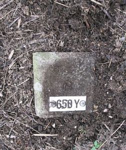 650y-muhlenberg-millingen-ad-rijn1