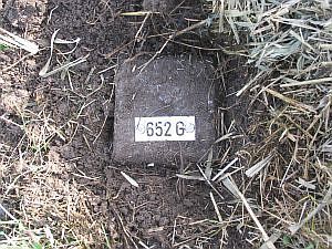 652g-d-zijde-millingen-ad-rijn1