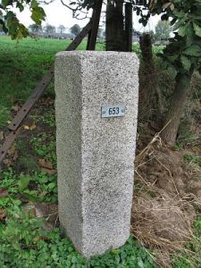 653-omg-bimmem-dl1
