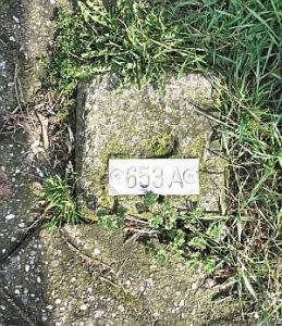 653a-detail-millingen-adrijn1
