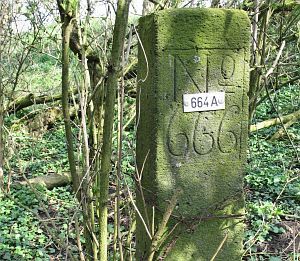 664a-detail