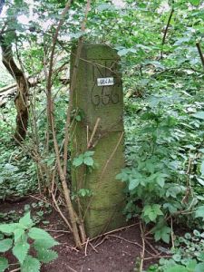 664a-houberg1