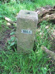664j-houberg-onderkant-dijk-door-wei1