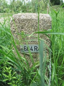 664r-houberg-onderkant-dijk-door-wei1
