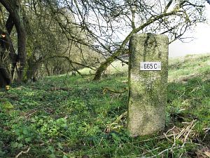 665c-eefkamerlingschap-elten