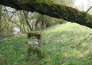 665d-eefkamerlingschap-elten