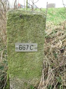 667c-meeuwenpolder-omg-babberich1