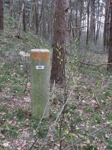 699-hulzenberg-ri-stokkum-langs-a12-e352