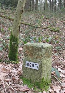 699f-hulzenberg-ri-stokkum-langs-a12-e352