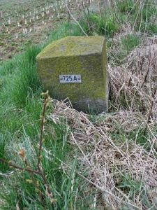 725a-regniet-gehucht-bij-anholt
