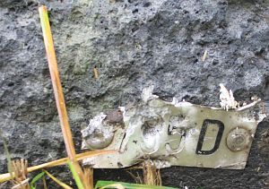 735d-keupenstraat-dinxperlo-detail