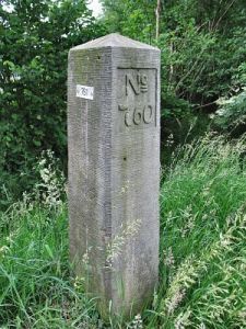 761-omg-woold-d-zijde
