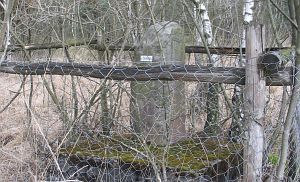 766n-woolds-veen