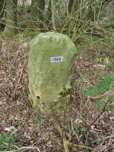 768b-wiggershuizen-vennbulten