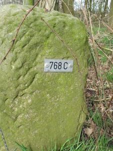 768c-wiggershuizen-vennbulten