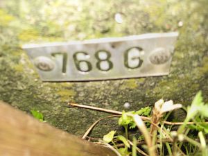 768g-wiggershuizen-vennbulten-plaatje