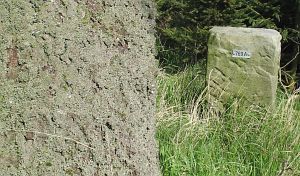 769a-wiggershuizen-vennbulten