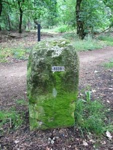 833b-zuiderzendvelderveld-buurserveen1