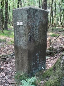 54-brekelkamper-veld-lange-fietspad