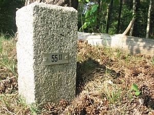 55-ii-forst-bentheim-bossen-lange-fietspad