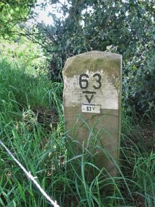 63-v-rotmanskamp-bergman