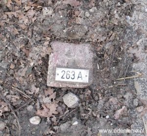 263a-n-zijde-nieuw-gefotografeerd-detail