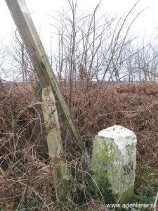 264-d-zijde-veeweg-schinveld-hohenbusch