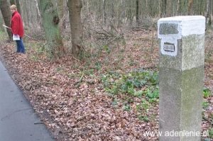 264b-n-zijde-veeweg-schinveld-hohenbusch